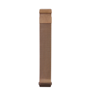 Correa Rosegold Fitbit